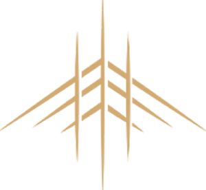 Aviano Aircraft